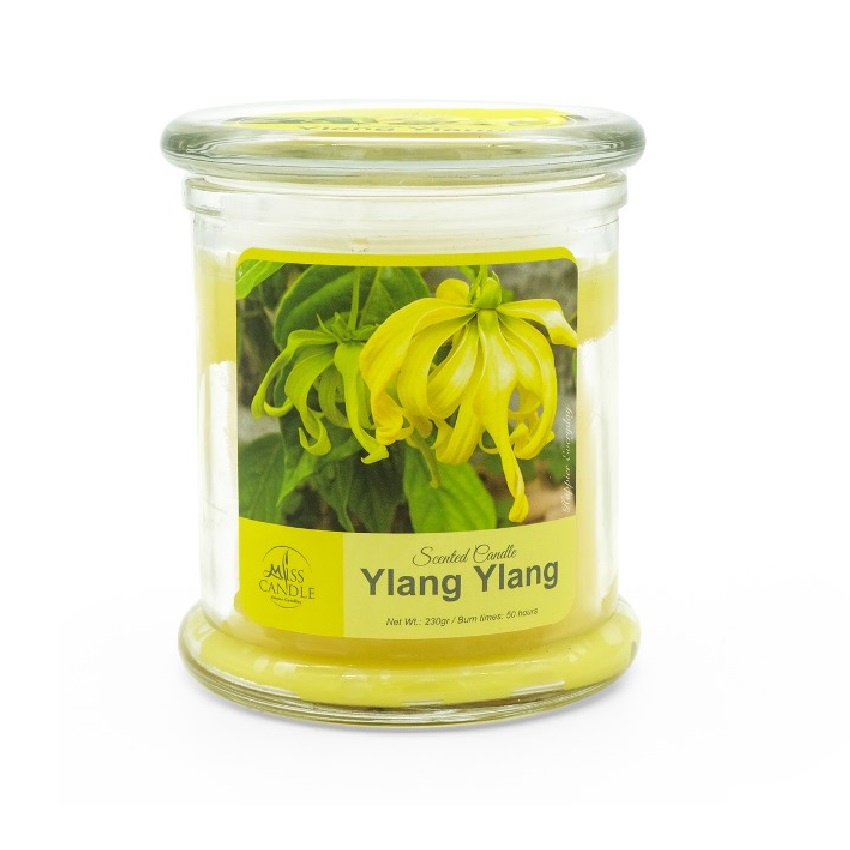 Nến thơm hũ Miss Candle NQM3414 Ylang Ylang 230g (Hương ngọc lan tây)