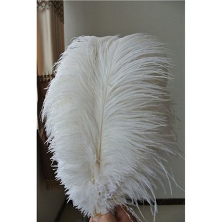Lông đà điểu trắng lông vũ trang trí( hàng sẵn, có hoả tốc)