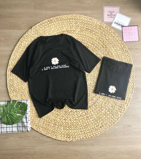 Áo thun in hoa cúc họa mi, kèm HÌNH THẬT chụp sàn