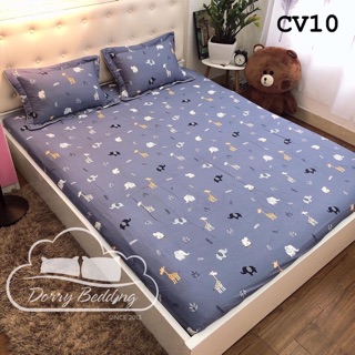 sét ga gối hàn quốc