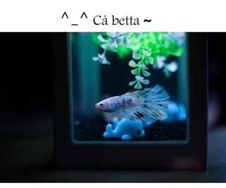 Bể Cá Nhân Tạo Mini Có Đèn Led Trang Trí Bể Cá