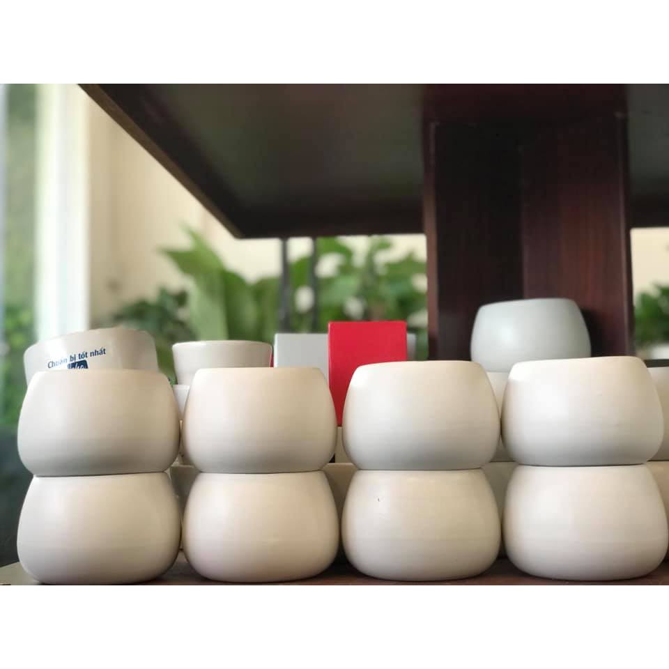 - INOGARDEN