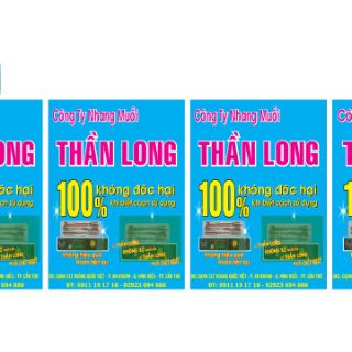 NHANG MUỖI THẦN LONG