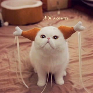 Mũ cô cô đùi gà cho thú cưng