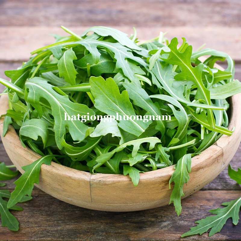 0,5GR - HẠT GIỐNG CẢI ROCKET LÁ CHẺ