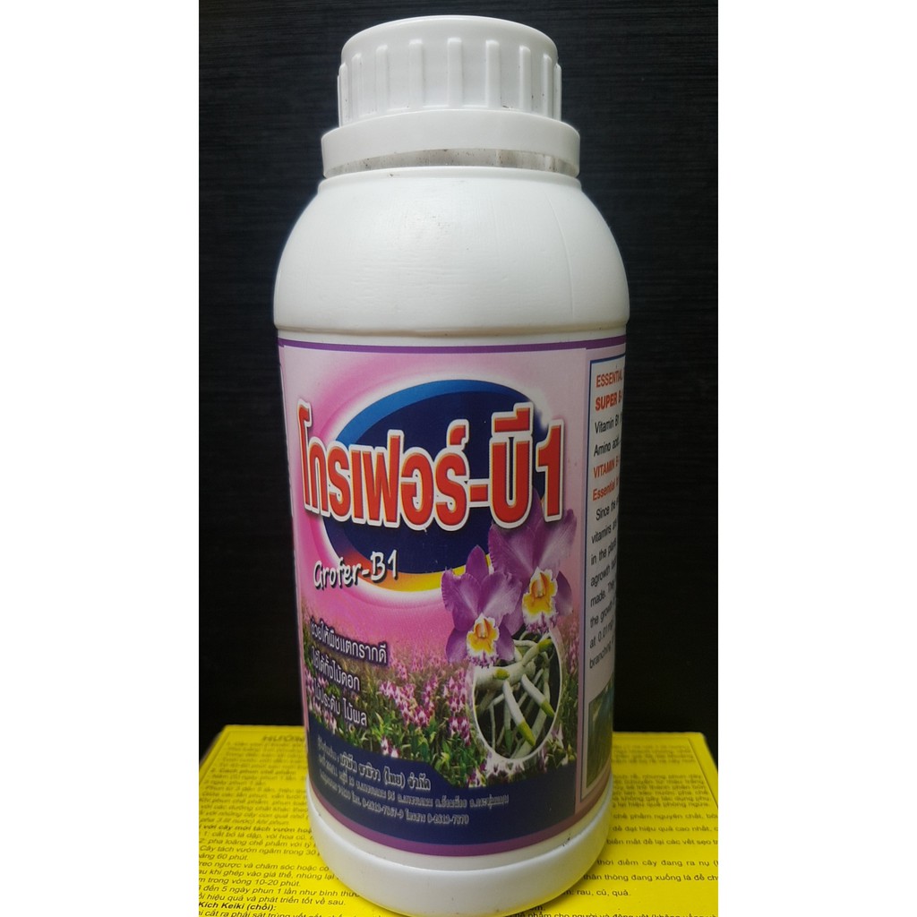 [FREESHIP TỪ 50K] ·#B1 Thai chai 500ml