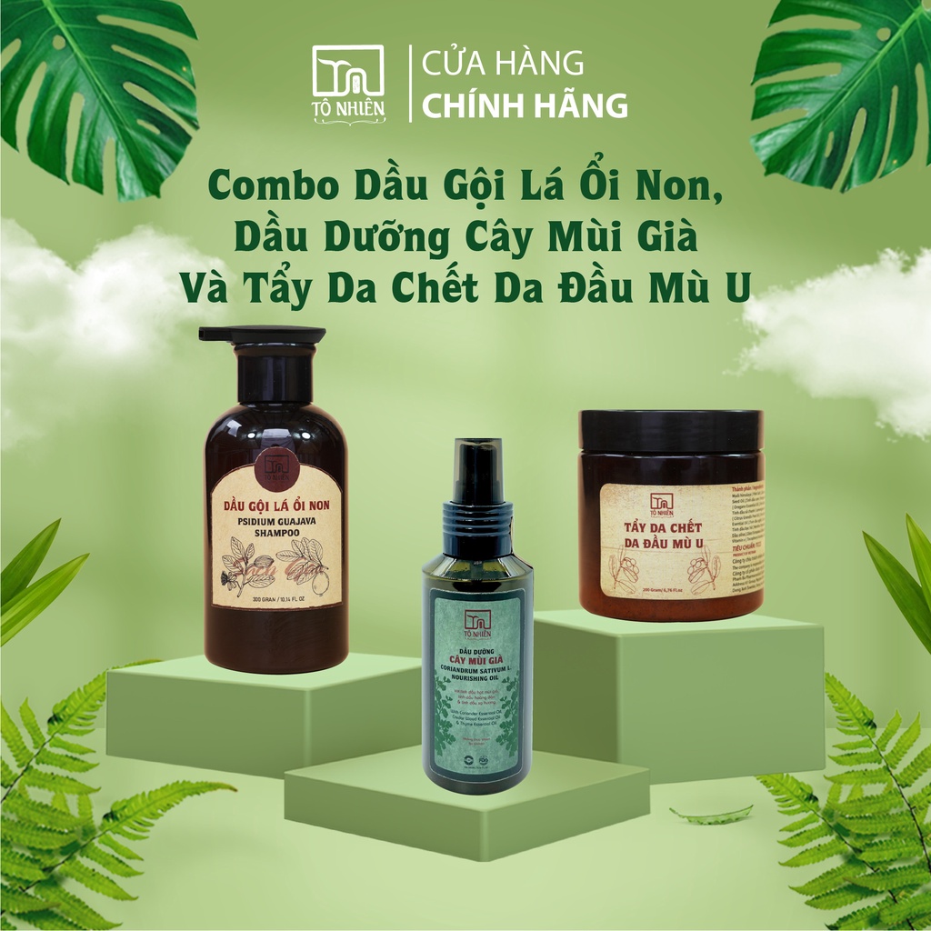 COMBO dầu gội lá ổi non, dầu dưỡng và tẩy da chết da đầu mù u Tô Nhiên - Làm sạch gàu và mảng bám, dưỡng tóc chắc khỏe