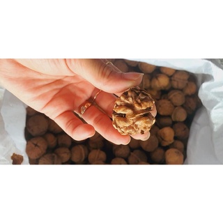Hạt Óc chó nếp (Đặc sản Tây Bắc) 500g - 1kg