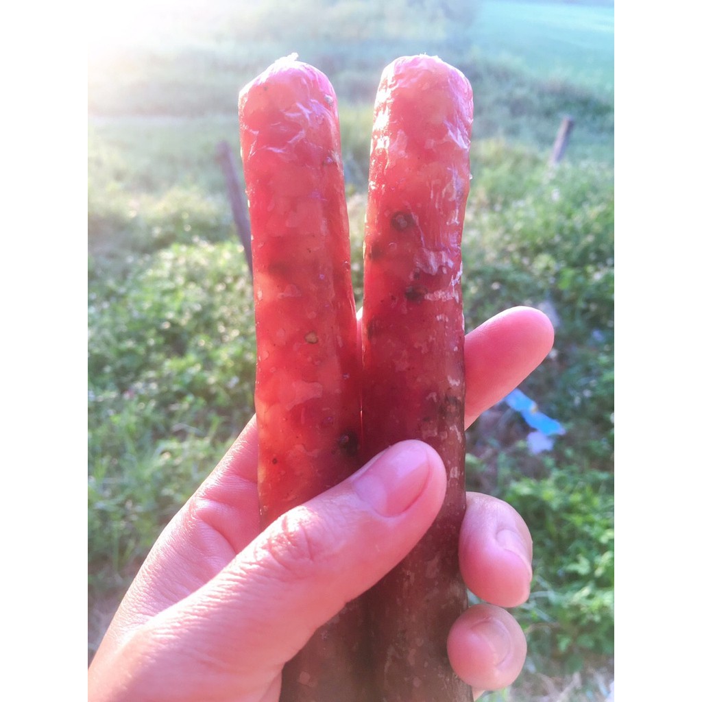 [CHỈ TỪ 12.500đ] Áp Xanh Lệ Hương Hộp 12 ống - Làm lạp xưởng - SỈ GIÁ TỐT | BigBuy360 - bigbuy360.vn