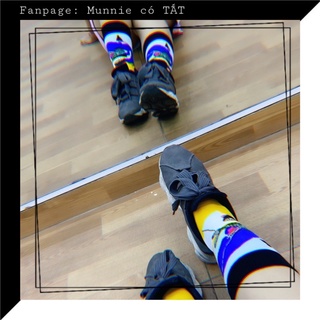 Tất cổ cao - Vớ phối màu - Mix match Socks