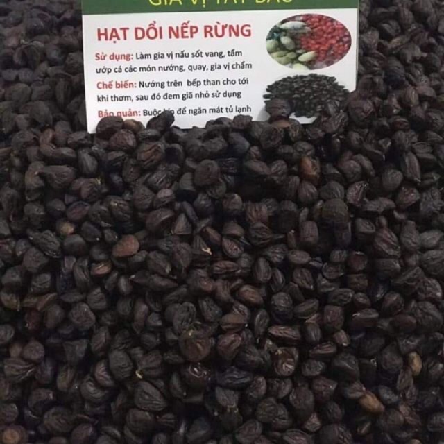 Hạt dổi rừng