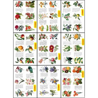 Sticker washi A4 [ HOA + THƯ TAY ] dạng lì trang trí bullet journal siêu đẹp (106015-106023)