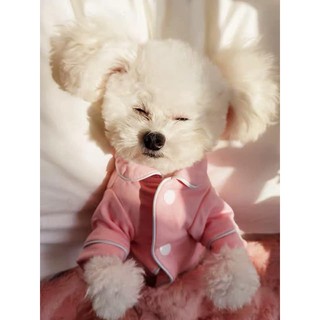 Áo pijama cho chó mèo