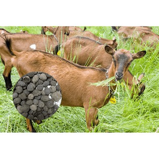 Phân Dê Đã Qua Xử Lý - Phân Dê Bón Hoa Lan (TÚI 1KG)