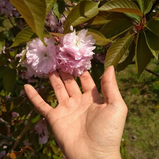 npvananh92, Cửa hàng trực tuyến | BigBuy360 - bigbuy360.vn