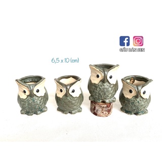 Chậu xuất Hàn 855 - chậu trồng sen đá/xương rồng