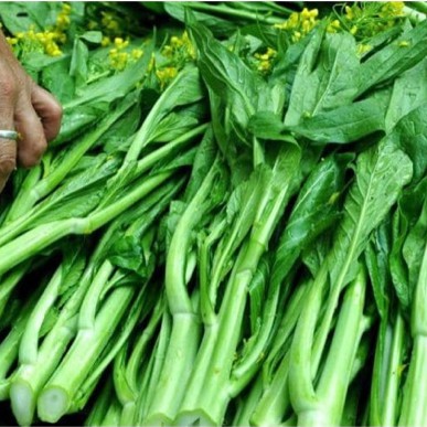 Hạt giống ngồng cải ngọt xanh