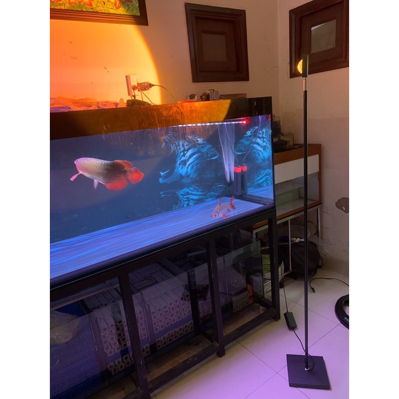 1.6m Đèn sunset Quay tiktok 10W, đèn chiếu hoàng hôn chụp hình, quay video decor ảo diệu