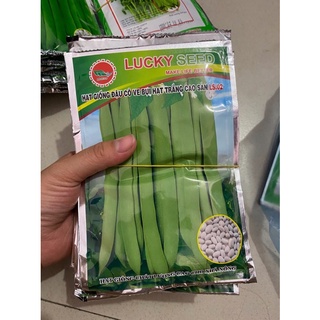(Mã NSF02P125 giảm 25K) Hạt giống Đậu Cove Trắng (Bụi)