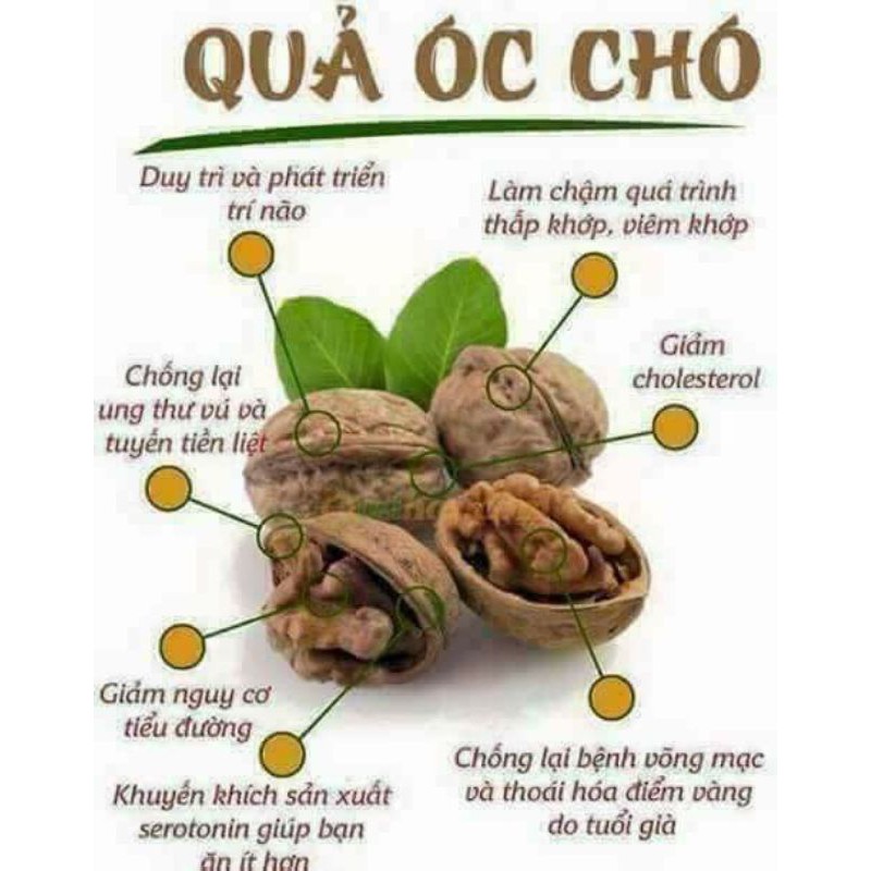 [500gram] Quả óc chó tách vỏ Hà Giang - Loại tốt