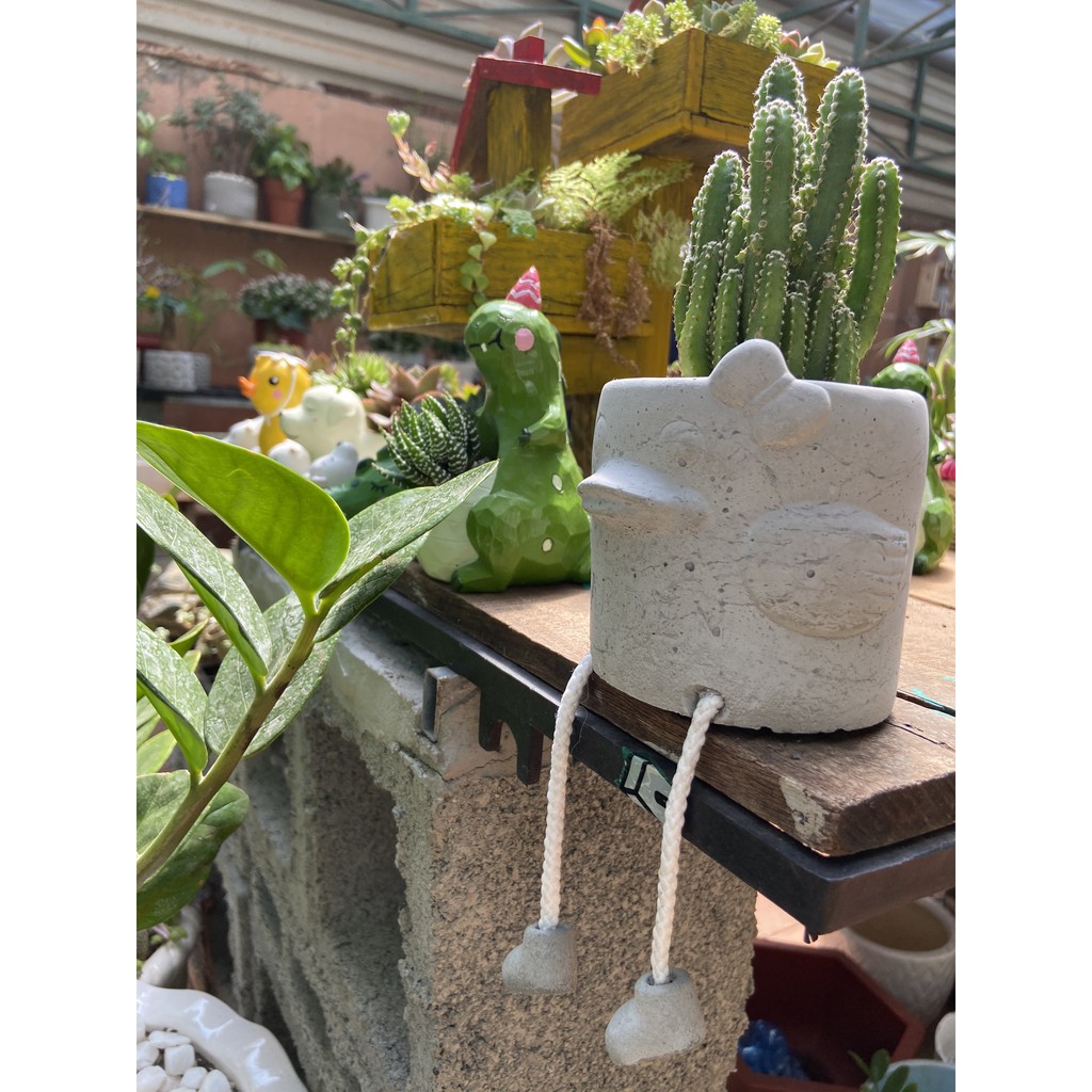 CHẬU XI MĂNG KÈM CÂY