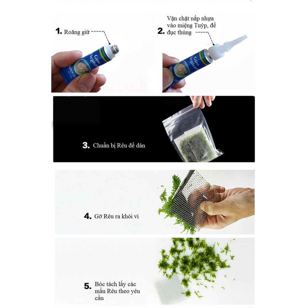Keo dán cố định rêu lũa cho thủy sinh