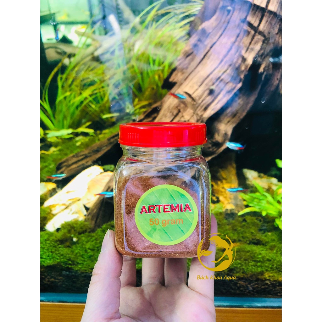 Thức ăn Artemia sấy khô cho các dòng cá cảnh