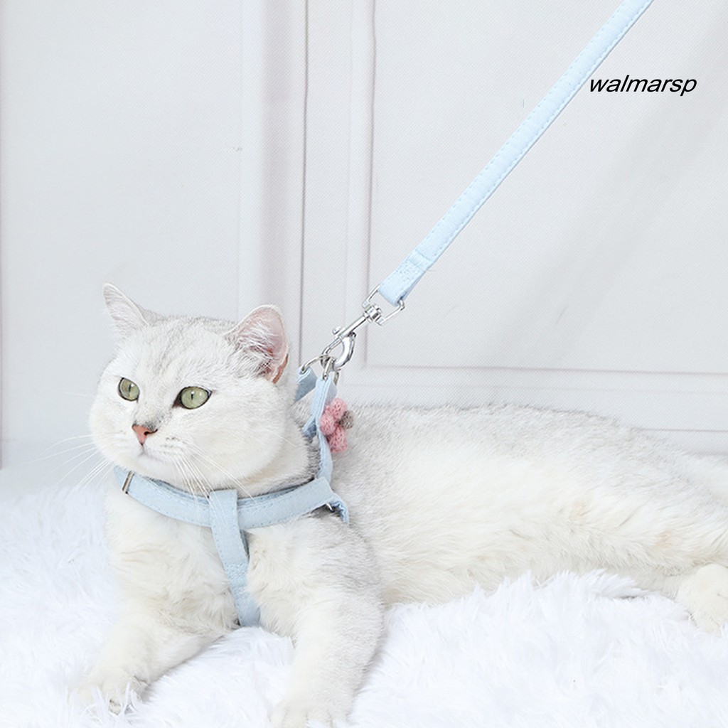 Dây dắt thú cưng đi dạo có thể tùy chỉnh tiện lợi