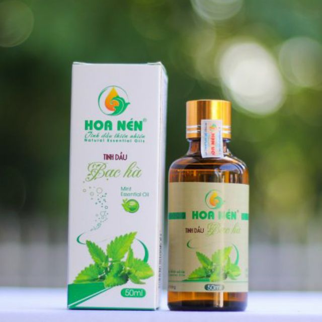 Tinh dầu bạc hà nguyên chất xông đèn xông tinh dầu, máy khuếch tán tinh dầu 50ml