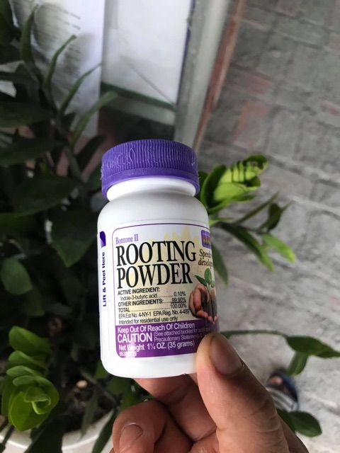 Giâm cành, chiết cành, chống khuẩn - Rooting Powder dạng bột siêu kích rễ từ Mỹ (35g)