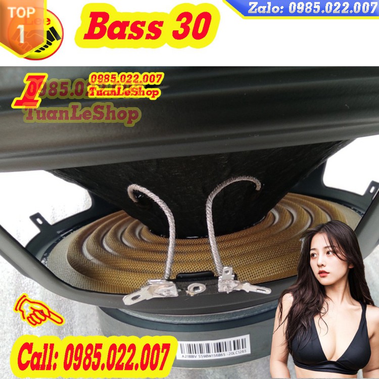 LOA BASS 3 TẤC COIL 66 GÂN MÚT TỪ KÉP 156-100 –GIÁ 01 LOA BASS 30
