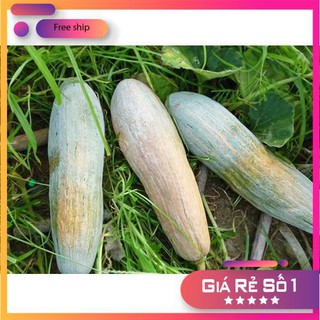 Hạt giống Bí đỏ dài (Bí sáp) (5g)