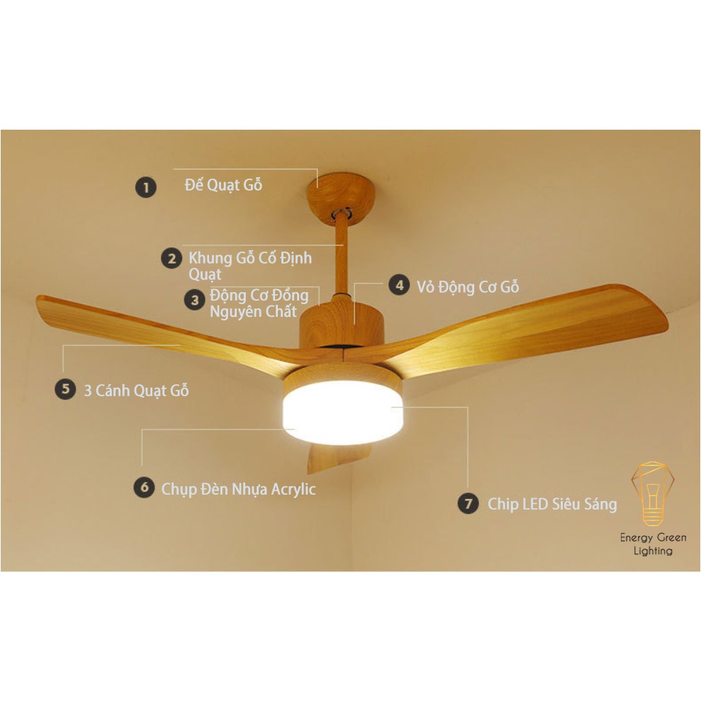 Quạt Trần Gỗ 3 Cánh Energy Green Lighting QT-11055 Phong Cách Bắc Âu Tích Hợp Đèn Chiếu Sáng - Điều Khiển Từ Xa