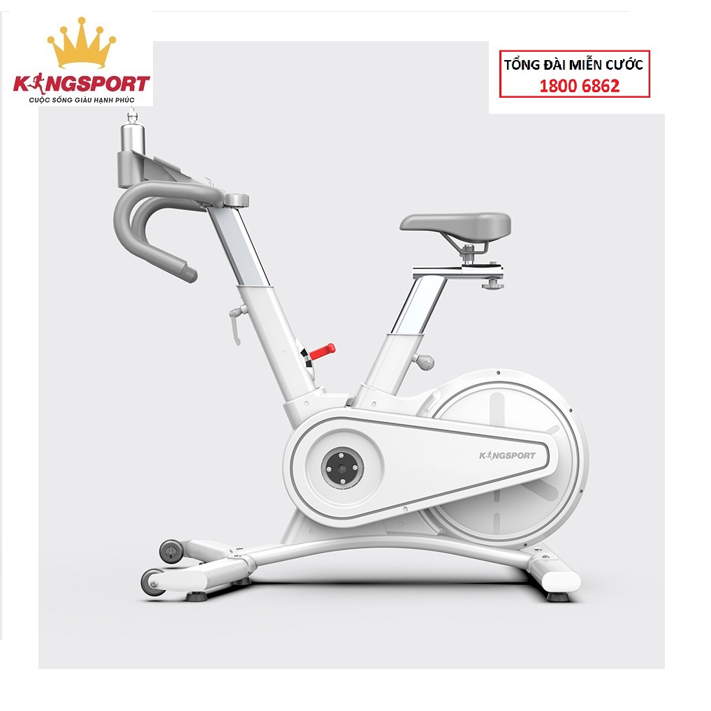 Xe đạp tập thể dục tại nhà Kingsport BK-5814 tải trọng tối đa 120kg, truyền động curoa cho bước đạp nhẹ nhàng
