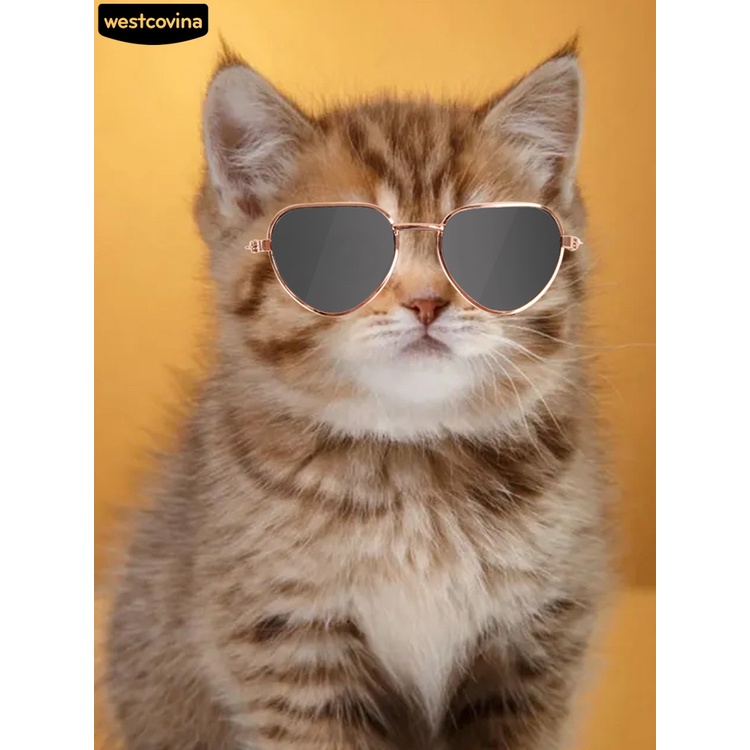 Kính Mát Phân Cực Chống Tia Uv Cho Thú Cưng