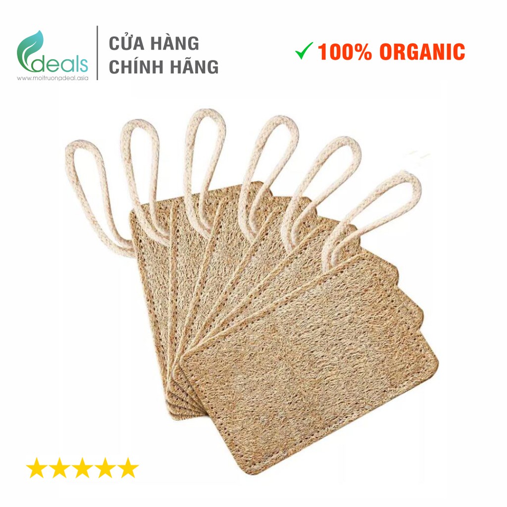 Xơ Mướp Rửa Chén Cao Cấp Ecocare - 100% organic - KT 11 x 7cm