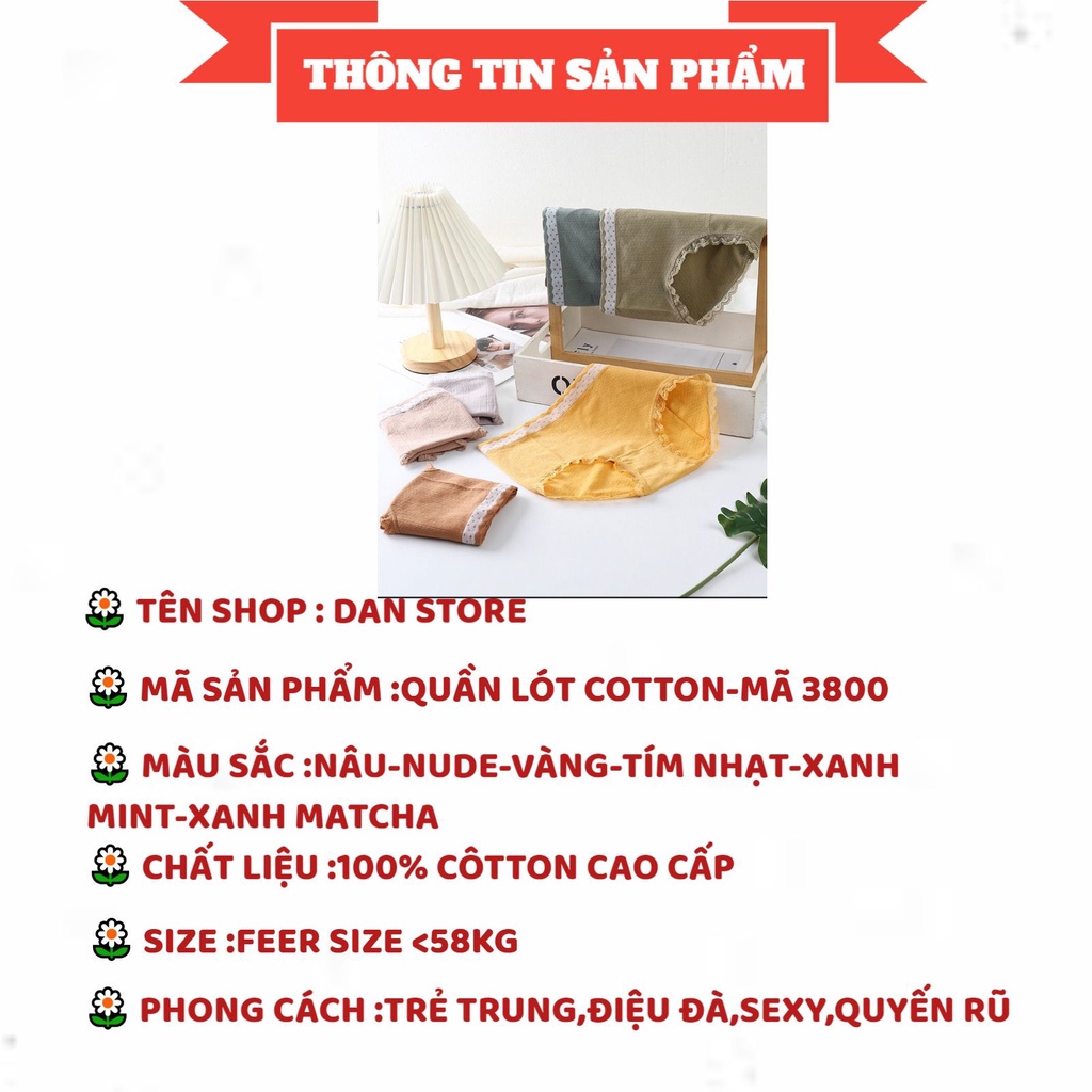 Quần Lót Nữ - Quần lót Nữ cotton dệt kim kháng khuẩn thiết kế phối cạp chấm bi DAN STORE MÃ 3800