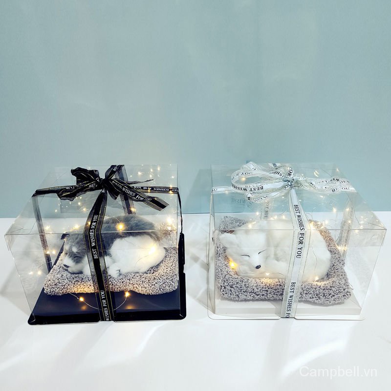 Hộp quà tặng sinh nhật sáng tạo dịp Lễ tình nhân cho bạn gái và bạn bè