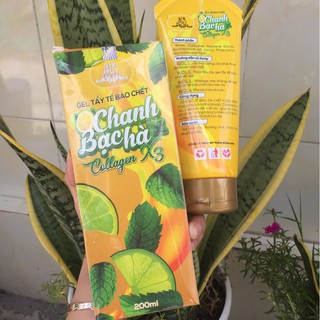 [Ảnh thật] Tẩy tế bào chanh bạc hà collagen x3 chính hãng