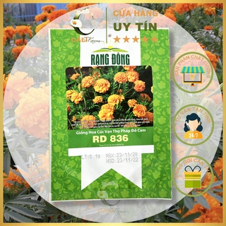 Hạt Giống Cúc Vạn Thọ Pháp Đỏ Cam RD 836