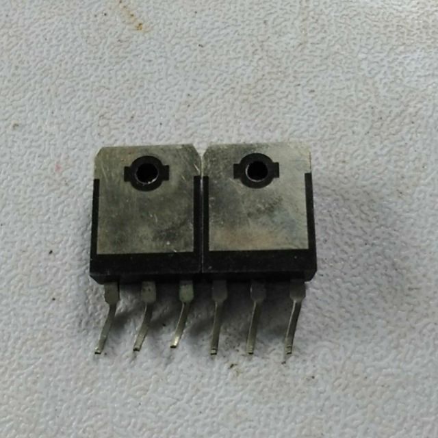 Sò b688 lưng đồng 2con