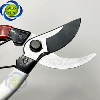 KÉO CẮT CÀNH BUDDY BD017