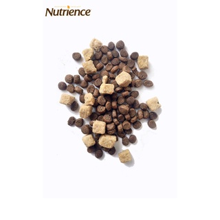 Thức ăn dạng hạt cho mèo mọi lứa tuổi Nutrience Subzero - PetMall