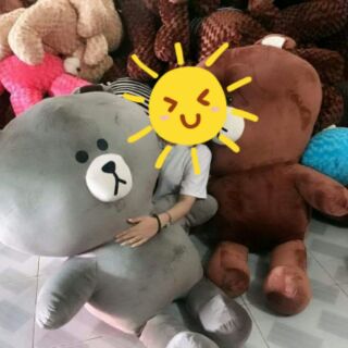 Gấu bông Brown 1M2