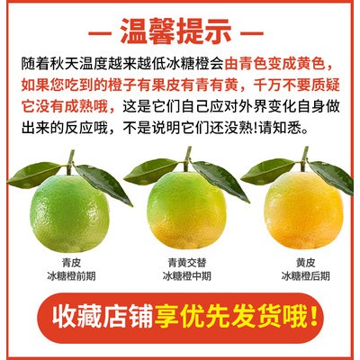 Vườn phước lành đích thực ma dương Băng đường cam bây giờ hái ngọt Cam Mùa trái cây tươi nên mùa cam quýt 5/9 kg