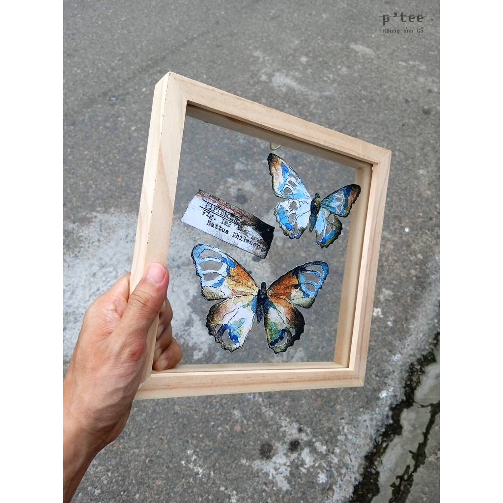 Khung ảnh gỗ 20x20 2 mặt kính - Khung hình gỗ thông mặt kính trang trí handmade hoa khô treo tường Woodframe by P'Te