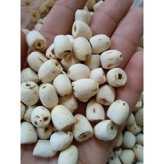 500g hạt sen khô loại ngon bùi