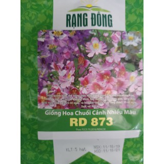 Hạt giống hoa chuối cảnh nhiều màu