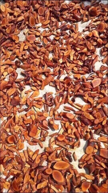 500g Cây Mú Từn - bổ thận tráng dương mạnh | BigBuy360 - bigbuy360.vn