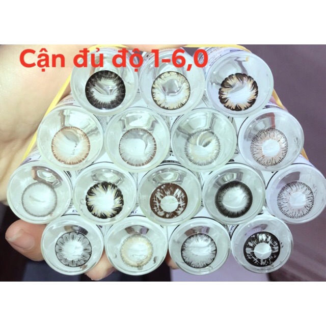 Lens cận Hàn ( 1cap kèm khay đơn)